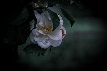 F8089BD9-7FB5-401B-A164-F3AA82B2D27F/L0/001