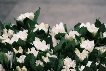 050A3DFB-DBB8-432C-93E9-892C3E87AC00/L0/001