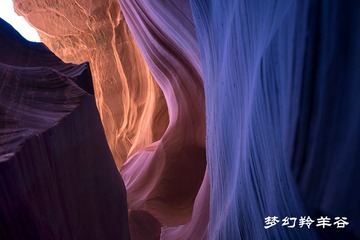 IMG_0203_