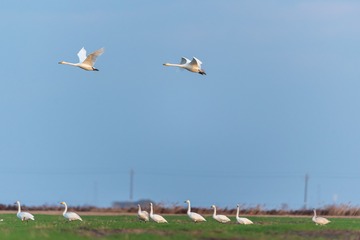 _DSC3812-1