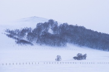 _DSC1380-1 - 