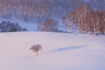 _DSC1441-1