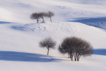_DSC1493-1 - 
