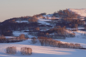 _DSC1724-1 - 
