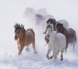 _DSC0841-1