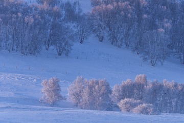 _DSC8822-1