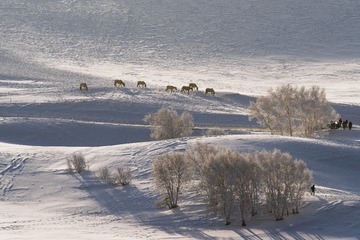 _DSC9729-1 - 