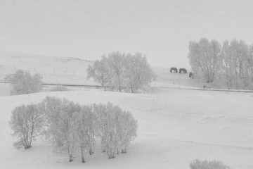 _DSC9678-1 - 