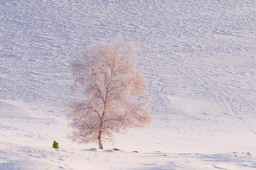 _DSC9721-1