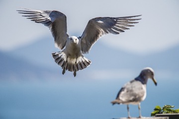 _DSC6478-1