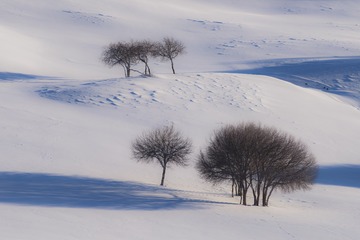 _DSC1493-1