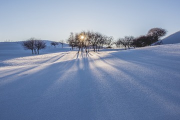 夕阳
