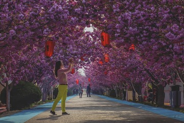 一路繁华