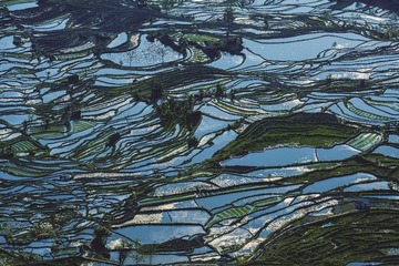 魅力梯田