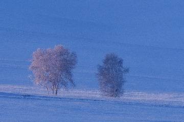 _DSC8825-1