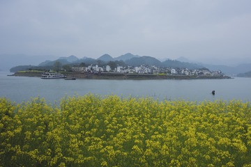 烟雨江南