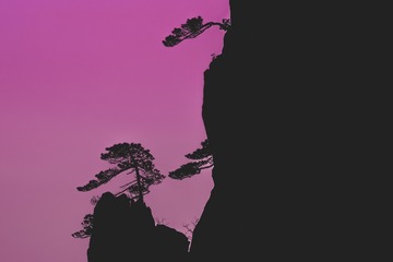 红与黑