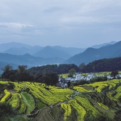 春到山村