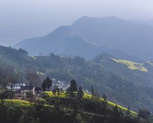 山里人家