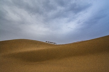 跋涉