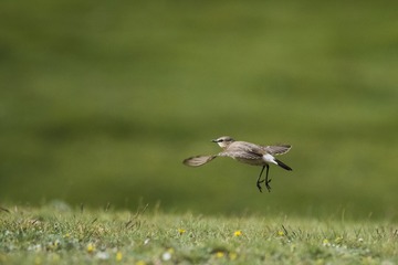 _DSC7664-3
