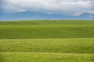 层次