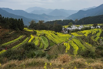 秀美村寨
