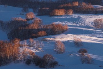 _DSC1723-3