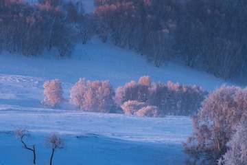 _DSC8822-3