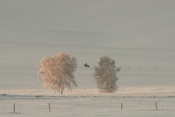 _DSC8818-3
