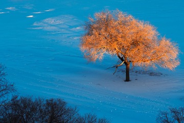 _DSC1699-6