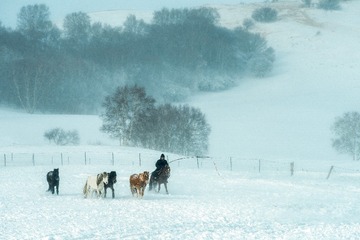 _DSC0781-3