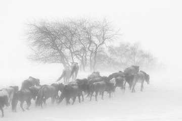_DSC0846-3