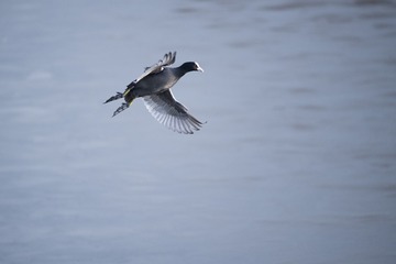 _DSC3402-1