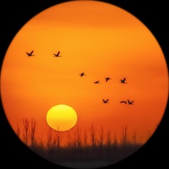 夕阳里