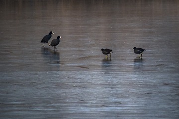 _DSC6985-1