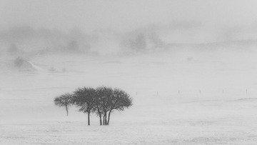 _DSC0766-3