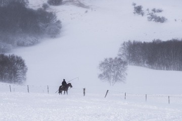 _DSC0774-1
