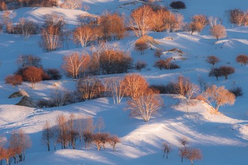 _DSC1730-3