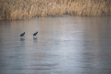 _DSC7028-3