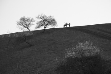 _DSC1878-1