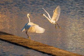 _DSC0189-3