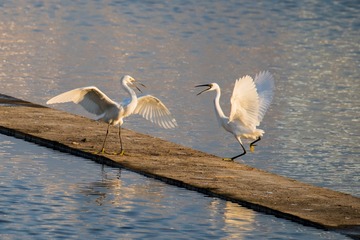 _DSC0183-1
