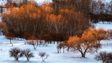_DSC0288-1