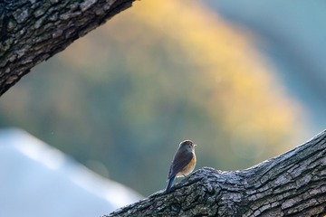 _DSC7572-1