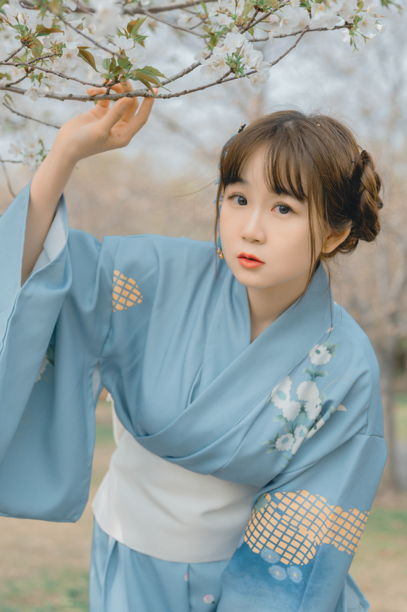 少女的和服与樱花