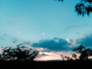 1217308