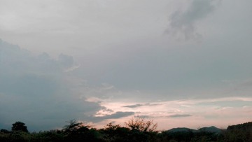 1217302