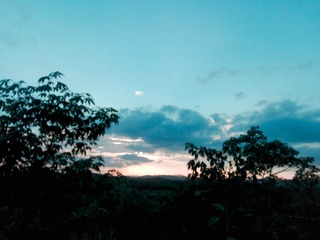 1217310