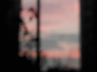 1217314